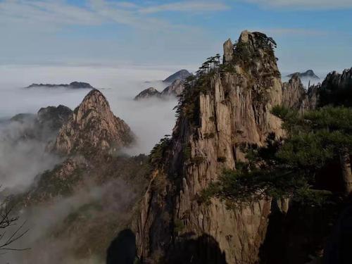 (3-3)单学光-山