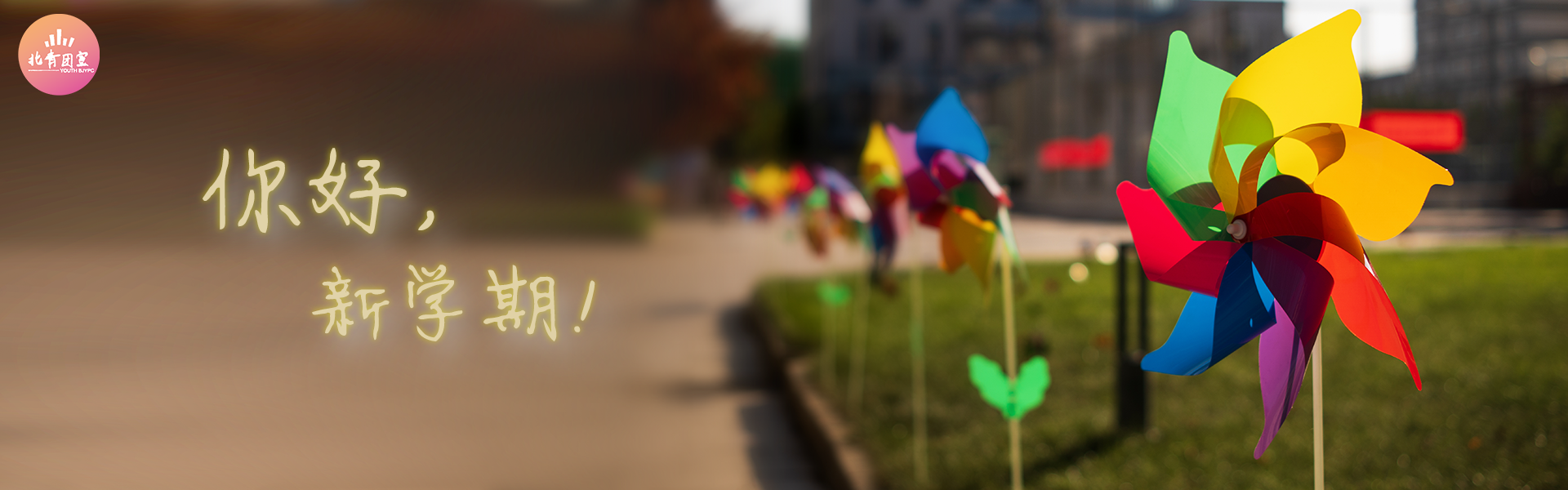 _ZKY0743.png