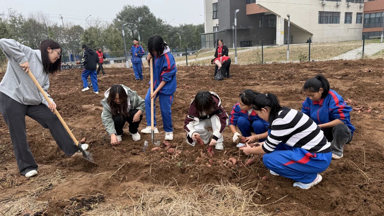微信图片_2025-11-10_085646_739.jpg