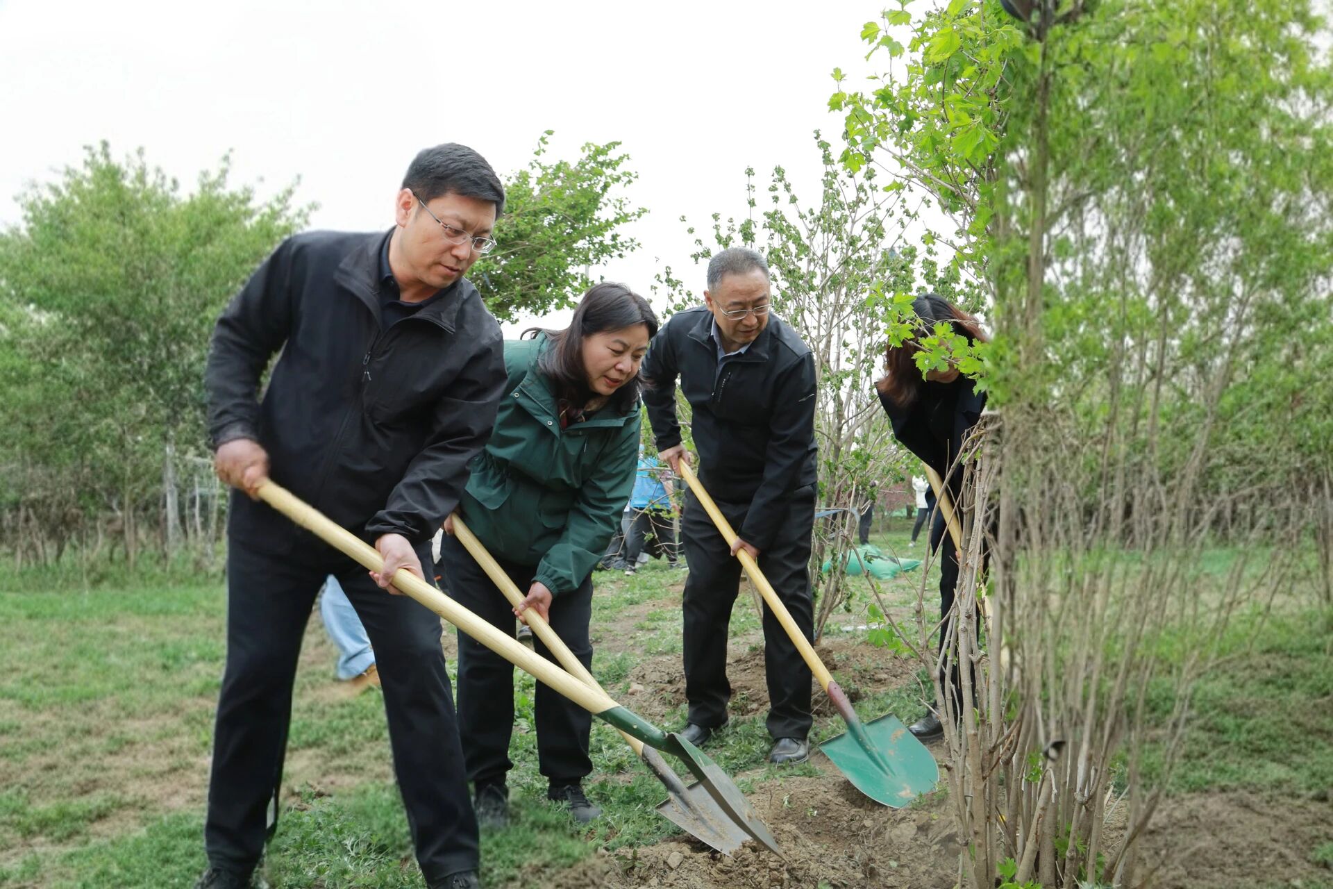 7525cbb65d5aa6996d6486bd4e32afa3.jpg