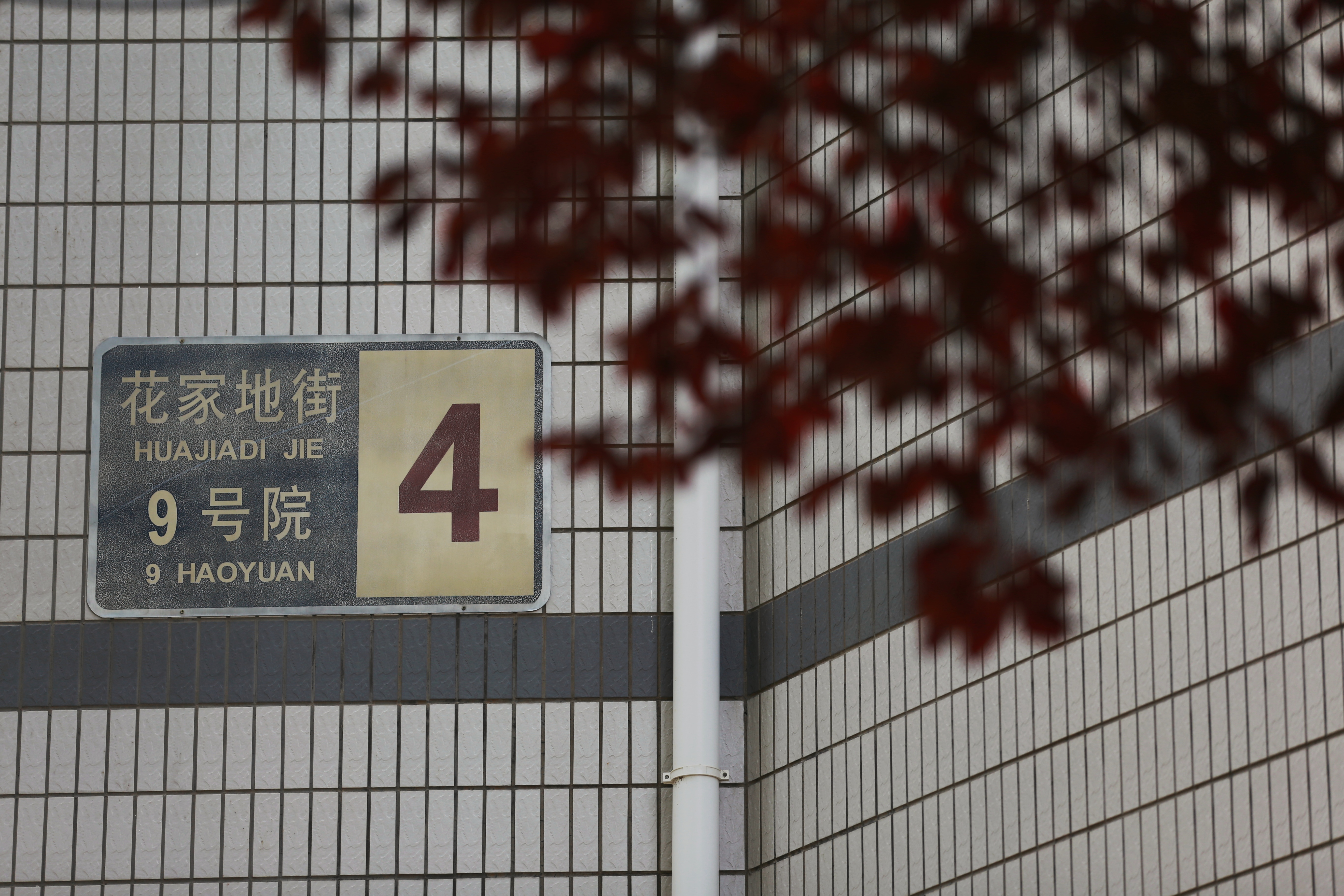 QQ图片20200928231412.jpg